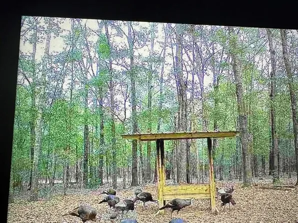 189 Rebel Rd, Andersonville, GA 31711