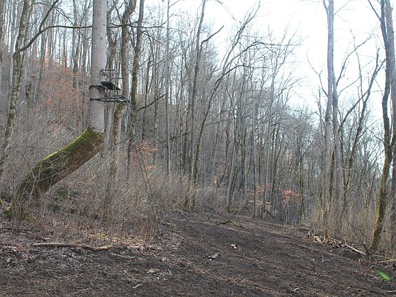 5th image of 0 Williford Ln