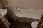 Pic-3