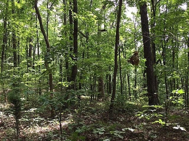 2nd image of Bluffs Rd #9
