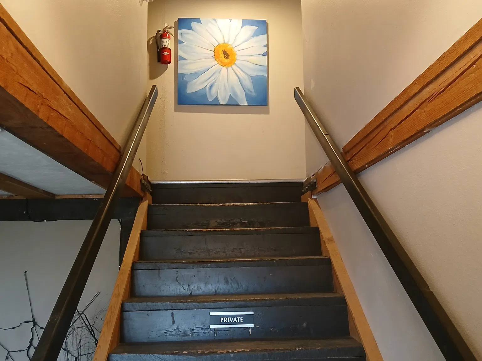 Studio, 222 sqft, $150 — Photo 3
