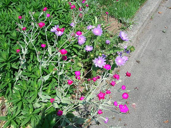 curb