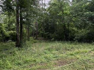 1003 Shady Ln, Jasper, TX 75951