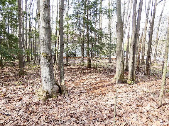 4th image of LOT 577 Forest Cir