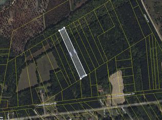 1 Colonel Maham Dr, Pineville, SC 29468