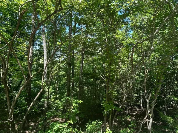 LOT 714 Russell Brothers Rd, Sharps Chapel, TN 37866