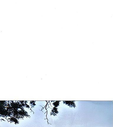 view from the mud room