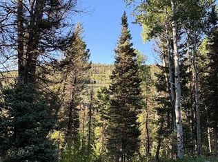 449 Ute Drive, Cimarron, CO 81220