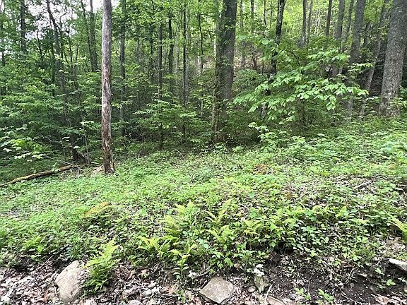 3rd image of 0 Bear Track Run