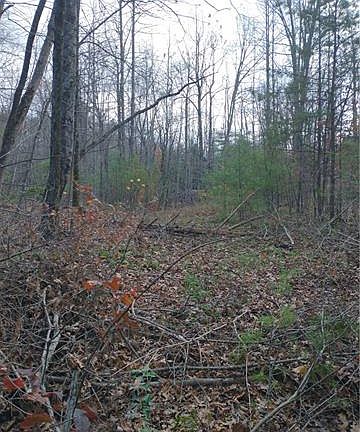 5th image of 0 Morgan Creek Ct #10
