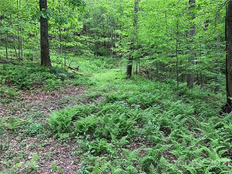 1st image of 221 Soapstone Creek Dr