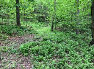 221 Soapstone Creek Dr, Arden, NC 28704