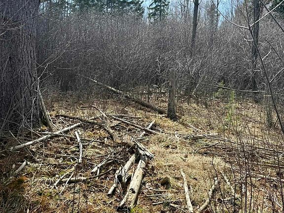 5th image of Krause Rd