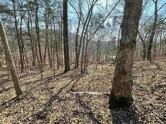 4th image of 0 Peace Mountain Rd