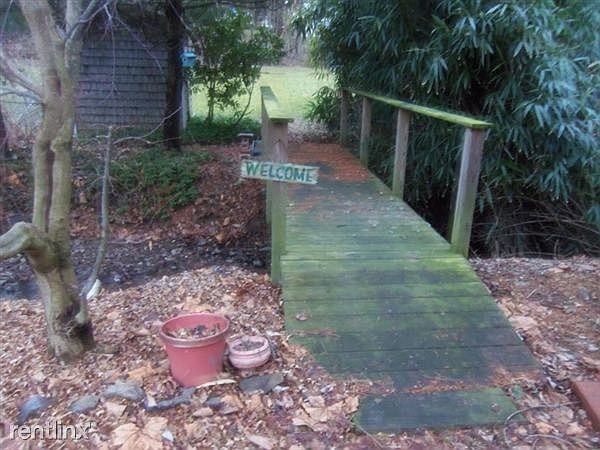 backyard2