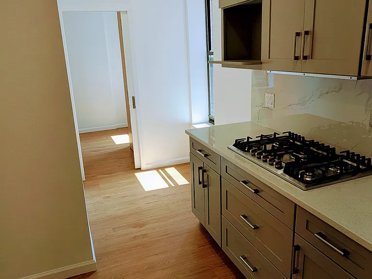 230 W 95th St #46 — Photo 3