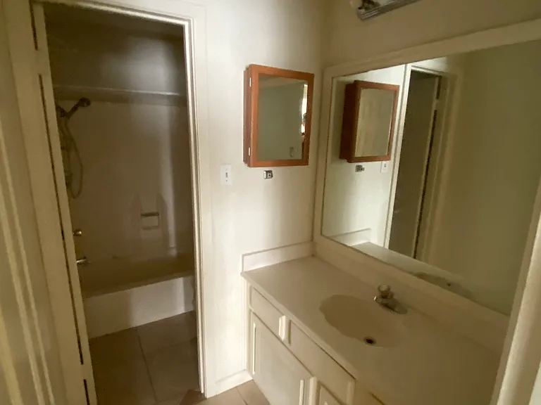Guest bath