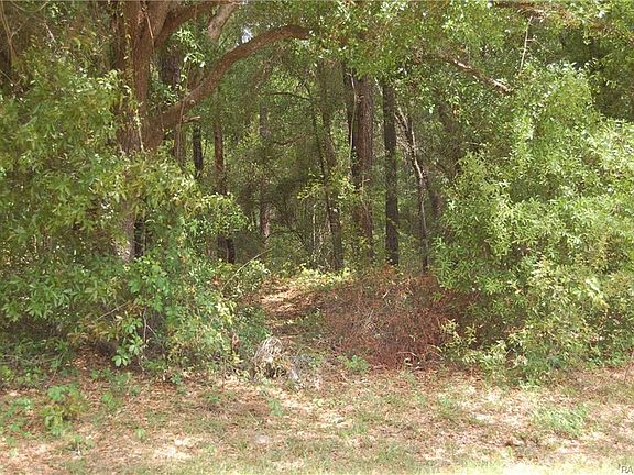 4th image of 393 E Elgrove Dr