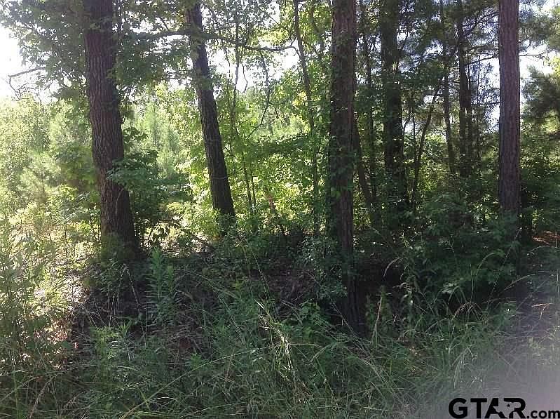 2nd image of Tbd Cr 1197