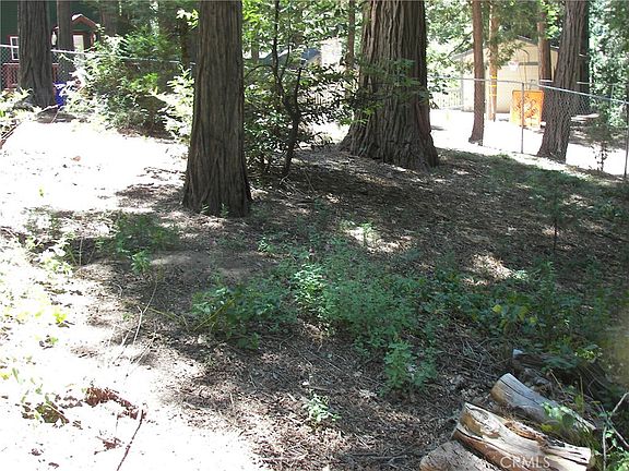 3rd image of 1101 Big Tree Ln