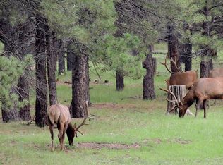 1101 Highland Meadow Rd, Flagstaff, AZ 86005