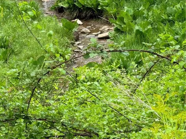 Hazelwood Rd, Lehighton, PA 18235