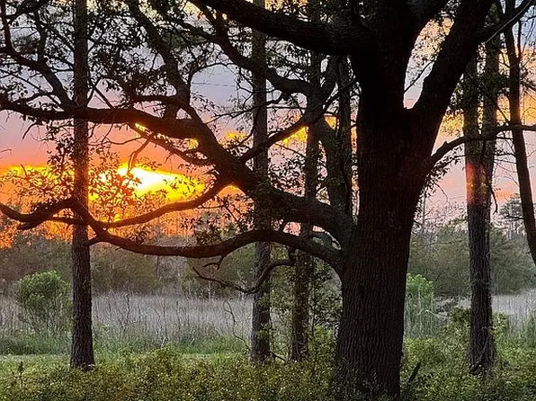 LOT Live Oak Dr, Bayboro, NC 28515