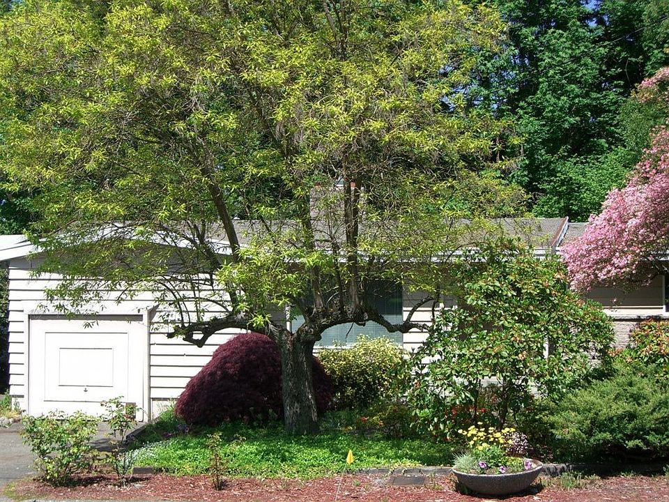 Great home set in a NW Garden