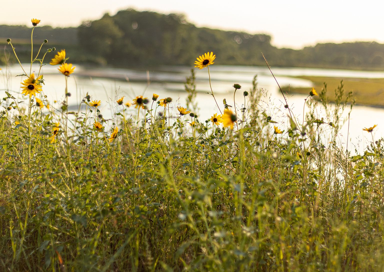 301 Naper Rd LOT WP001, Dannebrog, NE 68831 Zillow