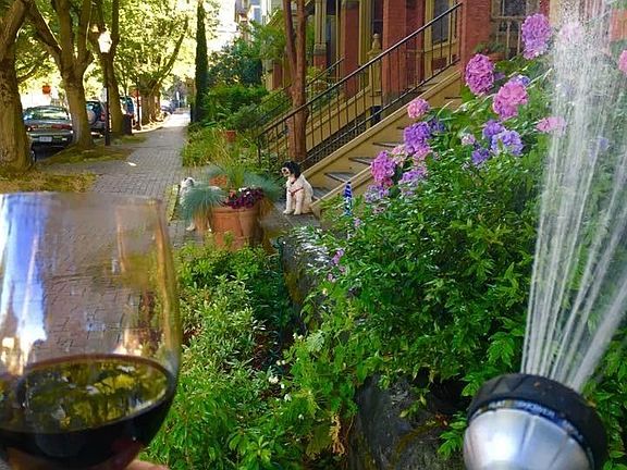 Streetscape
