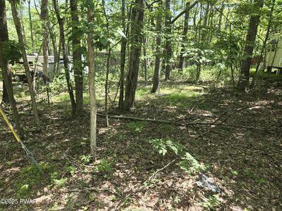 Mohican Rd, Shohola, PA, 18458