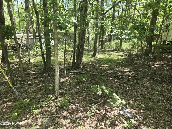 Mohican Rd, Shohola, PA 18458