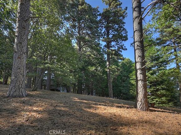 4th image of 0 Pine Dr #16