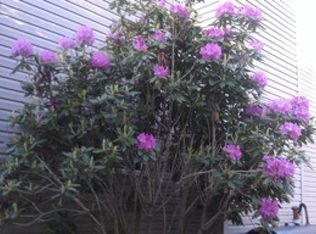 11A Ford Dr, Oak Ridge, NJ 07438