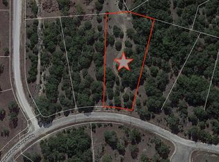 851 Rayner Ranch Blvd, Spring Branch, TX 78070