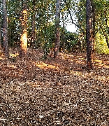3rd image of Hilltop Dr