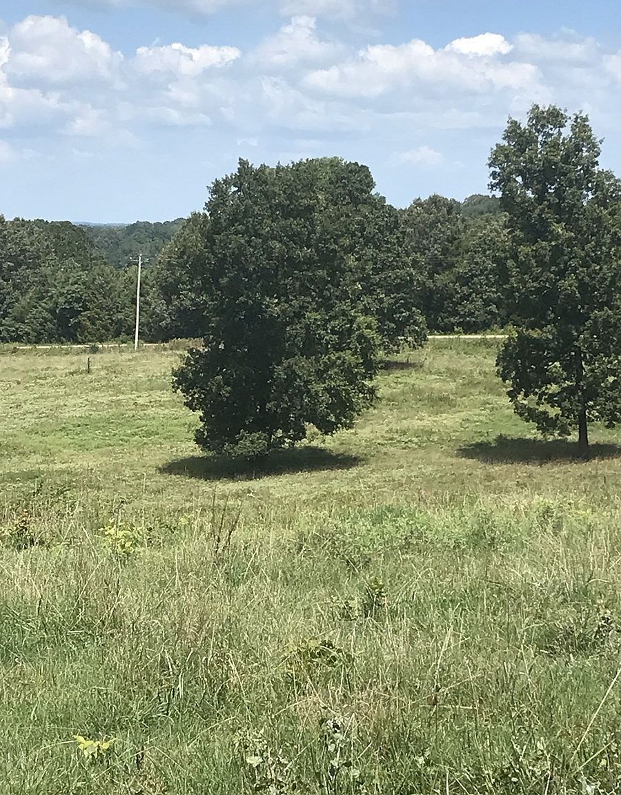 Maynard, Maynard, AR 72444 Zillow