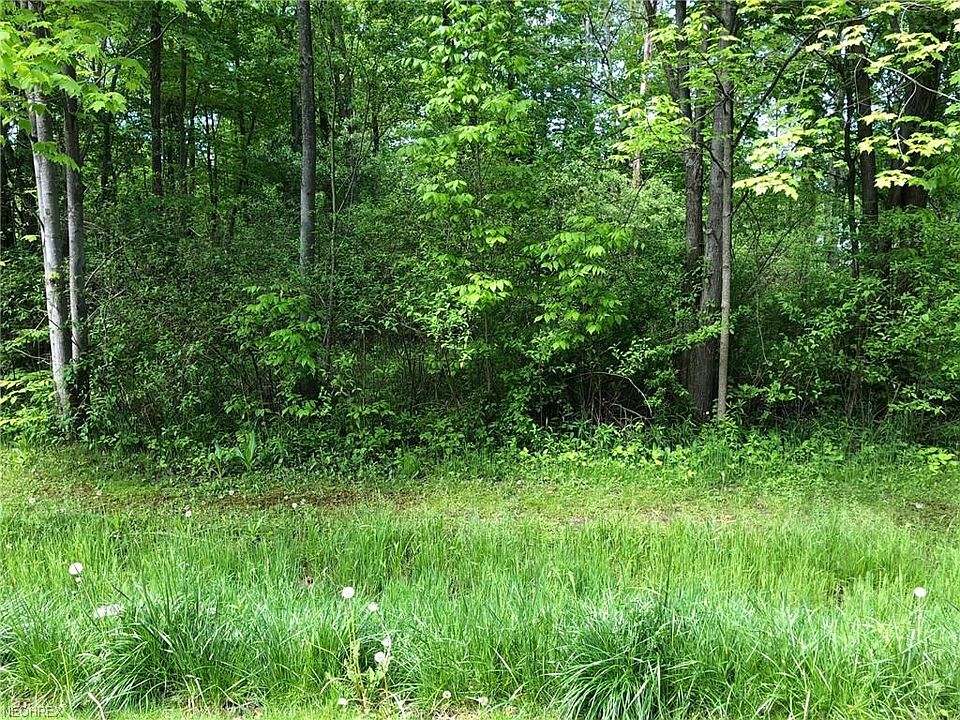 2nd image of Roselawn Dr