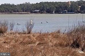 2nd image of Ragged Point Rd