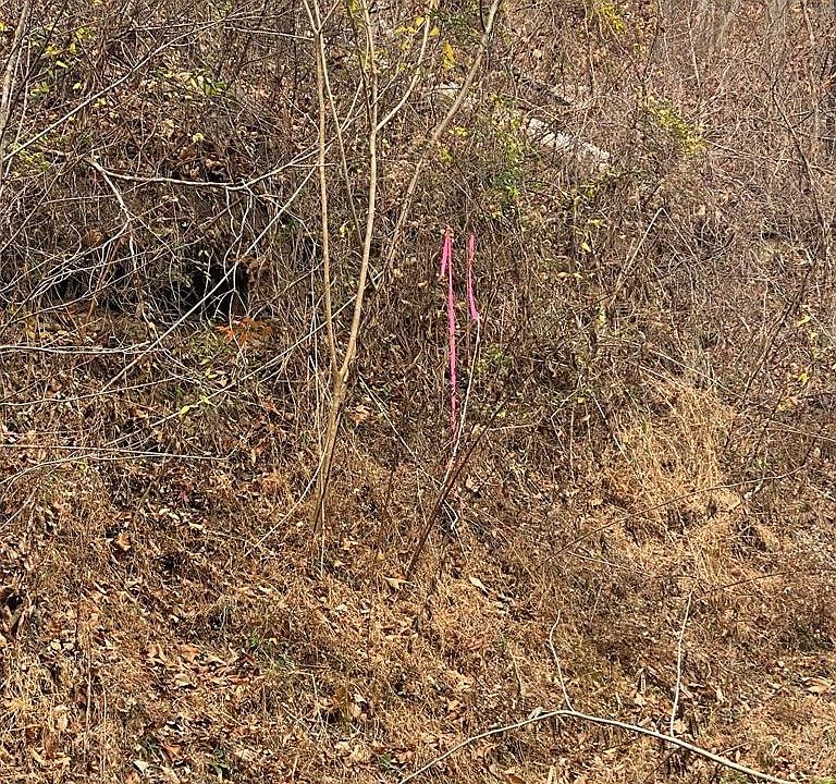 1st image of 1 Walker Trl