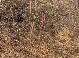 1 Walker Trl, Sevierville, TN 37876