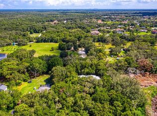 19906 Arbor Path Pl, Lutz, FL 33559