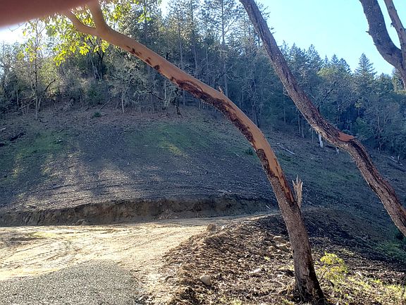 3rd image of Messinger Rd #600