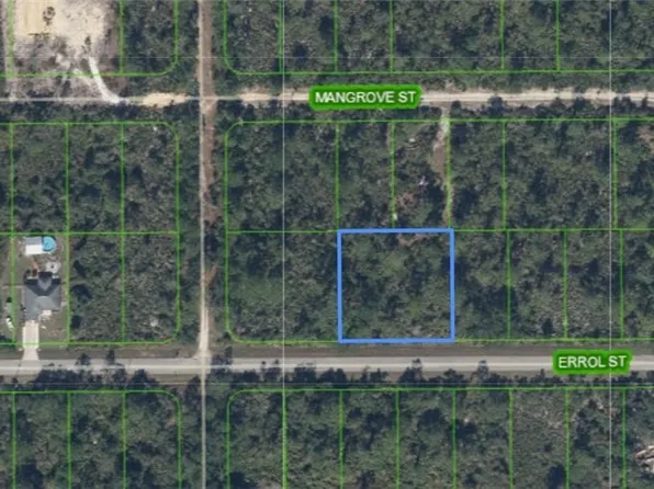 1506 Errol St, Lake Placid, FL 33852
