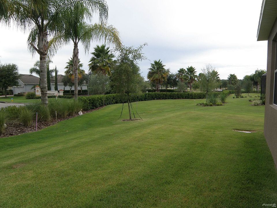 Exterior Rear View - Privacy