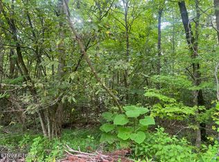Cardinal Dr, Newport, TN 37821