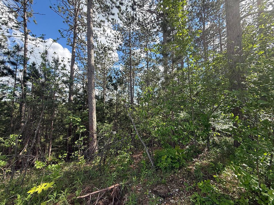 2nd image of Bear Paw Trl #10