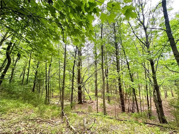 0(10 Acres) County Highway B, Humbird, WI 54746