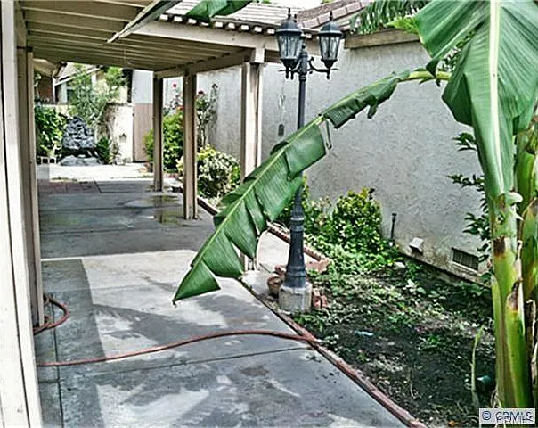 Back Patio Area