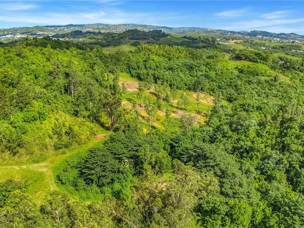 63 Sector Monticello, Cidra, PR 00739